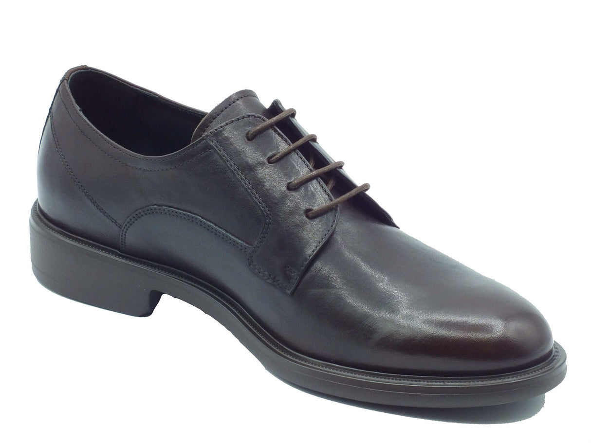Nero Giardini Nero Giardini Eleganti Uomo I601231UE Kronos Col. Ebony pelle marrone Testa di Moro