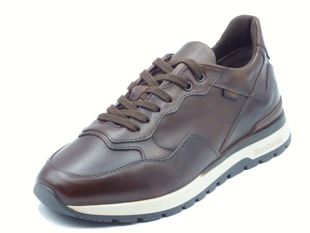 Nero Giardini NeroGiardini I400413U Delavato Beige Sneakers eleganti per Uomo in pelle Testa moro con lacci Delavato Beige