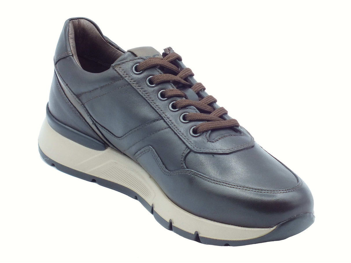 Nero Giardini NeroGiardini I500870U Savana Brown Sneakers per Uomo in pelle testa di moro con lacci e lampo Brown