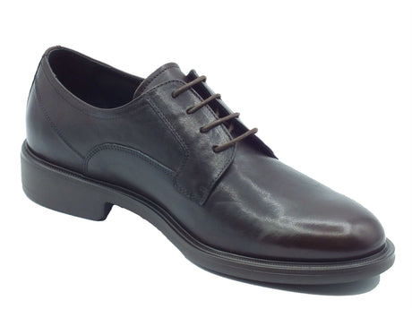 Nero Giardini Nero Giardini Eleganti Uomo I601231UE Kronos Col. Ebony pelle marrone Testa di Moro
